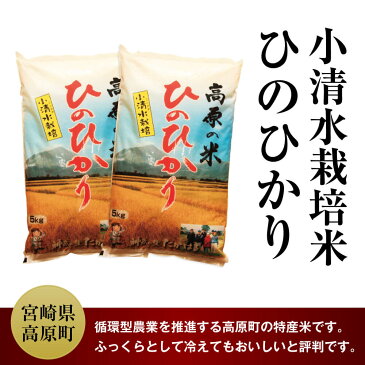 【ふるさと納税】宮崎県産 29年度 小清水米 10kg ひのひかり