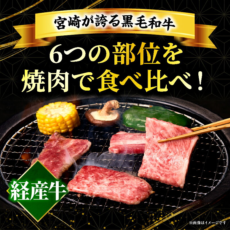 【ふるさと納税】【選べる内容量】宮崎県産黒毛和牛(経産)6種焼肉セット