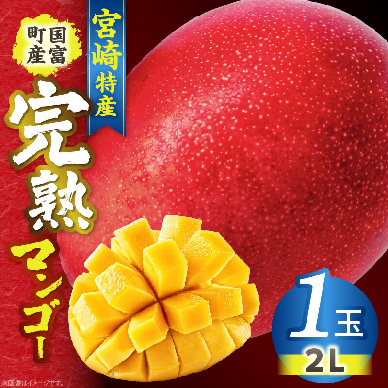 【ふるさと納税】宮崎特産！国富町産の完熟マンゴー 1玉（2L）
