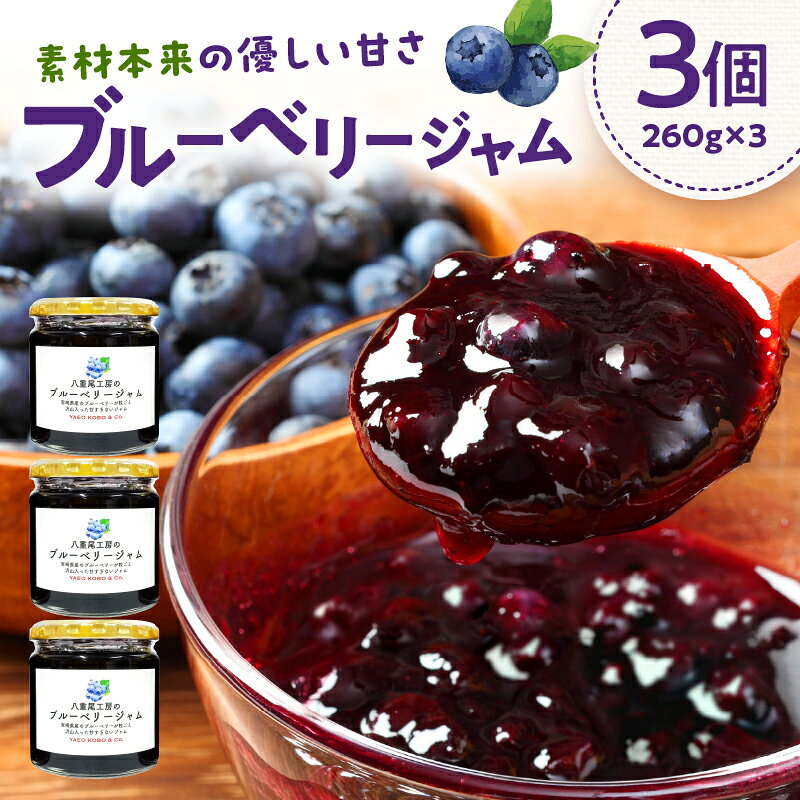 【ふるさと納税】八重尾工房が贈る ブルーベリージャム 260g×3個
