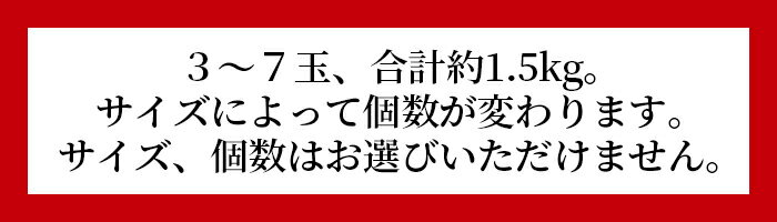 【ふるさと納税】期間限定！＜宮崎特産！国富町産の完熟マンゴー 3〜7玉（約1.5kg）＞※入金確認後、2026年3月下旬～6月下旬迄に順次出荷します 国産 果物 フルーツ デザート 季節限定 株式会社味采市場 宮崎県 国富町 a0591_as【冷蔵】