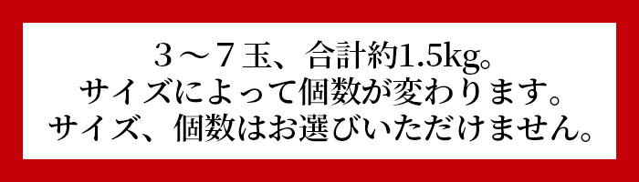 【ふるさと納税】期間限定！2024年発送 ＜宮崎特産！国富町産の完熟マンゴー 3～7玉（約1.5kg）＞※入金確認後、2024年3月中旬～6月中旬迄に順次出荷します 国産 果物 フルーツ デザート 季節限定 株式会社味采市場 宮崎県 国富町 a0591_as【冷蔵】