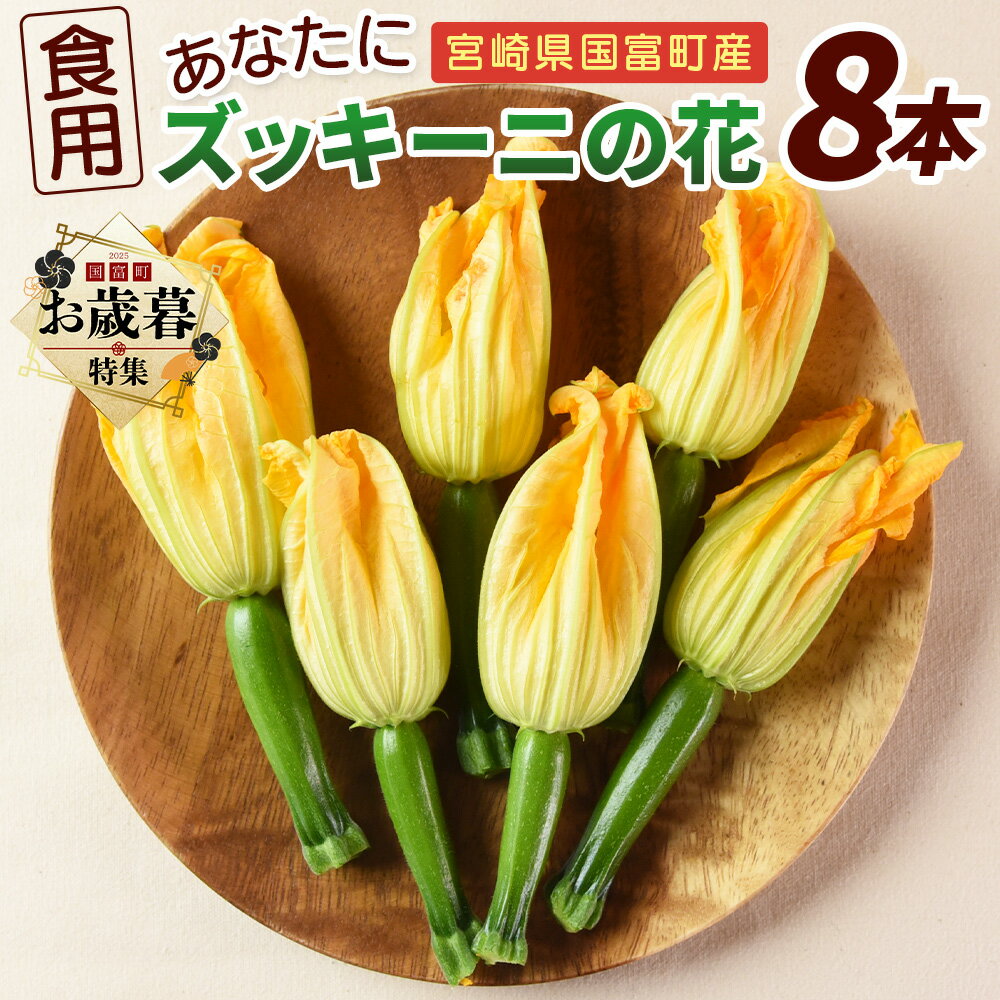 [お歳暮]★予約受付★[あなたにズッキーニの花 8個]※入金確認後、1か月程度で出荷します 野菜 青果 国産 料理 アレンジ 天ぷら ヒダカファーム 宮崎県 国富町 [冷蔵]