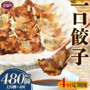 【ふるさと納税】<4回定期便 一口餃子 120個入り(3か月に1回発送)>※入金確認後、翌月末迄に第一回目を出荷。 ぎょうざ ギョウザ ギョーザ 点心 中華 惣...
