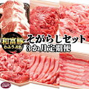 精肉・肉加工品(豚肉)人気ランク24位　口コミ数「1件」評価「5」「【ふるさと納税】＜3か月定期便 和富豚 そがらしセット 2.9kg＞※入金確認後、翌月末迄に第一回目発送 豚肉 下ロース 肩ロース バラ ウデ うで こま 小間 モモ 切落し とんかつ 株式会社エムツー 国富店 宮崎県 国富町【冷凍】」