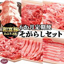 21位! 口コミ数「0件」評価「0」＜6か月定期便 和富豚 そがらしセット 2.9kg＞※入金確認後、翌月末迄に第一回目発送 豚肉 下ロース 肩ロース バラ ウデ うで こま ･･･ 