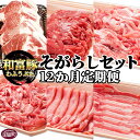 ＜12か月定期便 和富豚 そがらしセット 2.9kg＞※入金確認後、翌月末迄に第一回目発送 豚肉 下ロース 肩ロース バラ ウデ うで こま 小間 モモ 切り落とし 株式会社エムツー 国富店 宮崎県 国富町