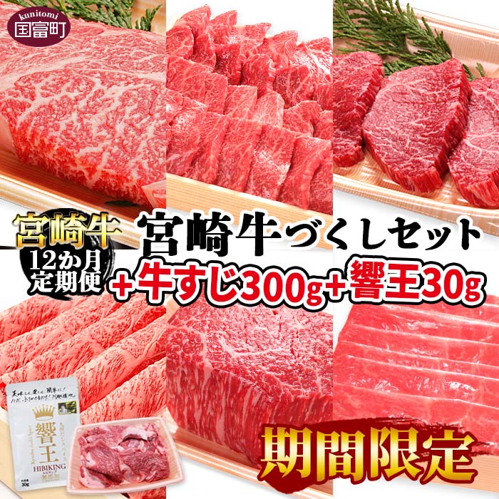 【ふるさと納税】期間限定！＜12か月定期便 宮崎牛づくしセット+牛すじ300g+響王30g＞※入金確認後、翌月末迄に第一回目発送 牛肉 和牛 黒毛和牛 赤身 ウデ モモ 焼肉 肩ロース サーロイン ローストビーフ 毎月届く 株式会社エムツー国富店 宮崎県 国富町 0323_em_x1【冷凍】のサムネイル