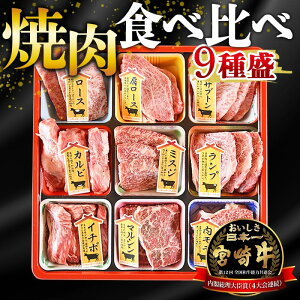 【ふるさと納税】<宮崎牛焼肉9種盛(約630g)>※入金確認後、翌月末迄に順次出荷します 牛肉 和牛 黒毛和牛 肩ロース モモ ウデ うで 赤身 霜降り 国産 食べ比べ バーベキュー 食べ比べ 株式会社エムツー 国富店 宮崎県 国富町【冷凍】