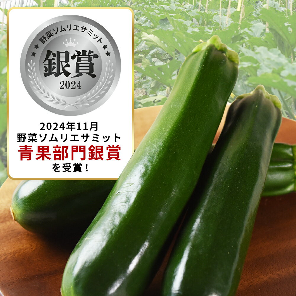 【ふるさと納税】＜野菜ソムリエサミット銀賞受賞！ あなたにズッキーニ約2kg（10本）＞※入金確認後、翌月末迄に順次出荷します 野菜 青果 国産 生食 輪切り ソテー サラダ 天ぷら ラタトゥイユ ヒダカファーム 宮崎県 国富町 【冷蔵】