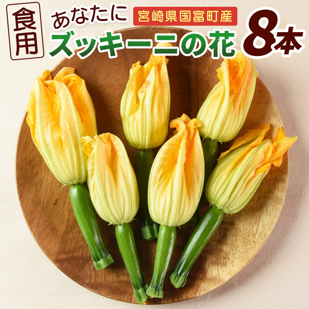 ڤդ뤵Ǽǡۡͽա㤢ʤ˥åˤβ 8ġ䢨ǧ塢2025ǯ10缡в٤ޤ  Ĳ   ...