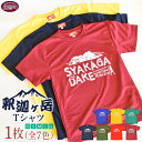 楽天宮崎県国富町【ふるさと納税】＜釈迦ケ岳Tシャツ 1枚＞※入金確認後、翌月末迄に順次出荷します。 ファッション トップス ドライTシャツ メンズ レディース ユニセックス 半袖 バーガンディ ネイビー カーキ ブルー イエロー レッド グリーン サイズ 日向扇屋 宮崎県 国富町 【常温】