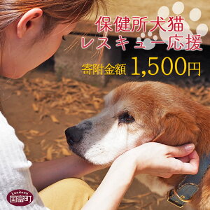 【ふるさと納税】＜保健所犬猫レスキュー【返礼品なしのご寄附】＞ 返礼品なし 保護 動物愛護 いぬ ねこ イヌ ネコ どうぶつ 応援 支援 寄付 使い道 宮崎県 国富町 いのちのはうす保護家 a0607_in