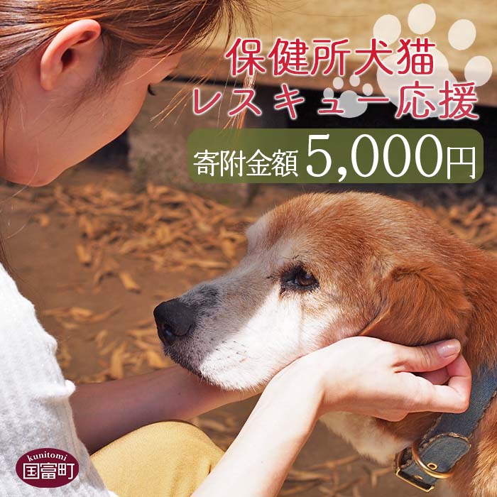 2位! 口コミ数「8件」評価「5」＜保健所犬猫レスキュー【返礼品なしのご寄附】＞寄附金額5,000円※お礼状をお送りいたします。 返礼品なし 保護 動物愛護 いぬ ねこ イヌ･･･ 