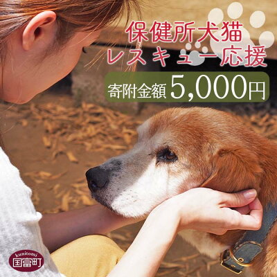 楽天ふるさと納税　【ふるさと納税】＜保健所犬猫レスキュー【返礼品なしのご寄附】＞寄附金額5,000円※お礼状をお送りいたします。 返礼品なし 保護 動物愛護 いぬ ねこ イヌ ネコ どうぶつ 応援 支援 寄付 使い道 宮崎県 国富町 いのちのはうす保護家 a0621_in