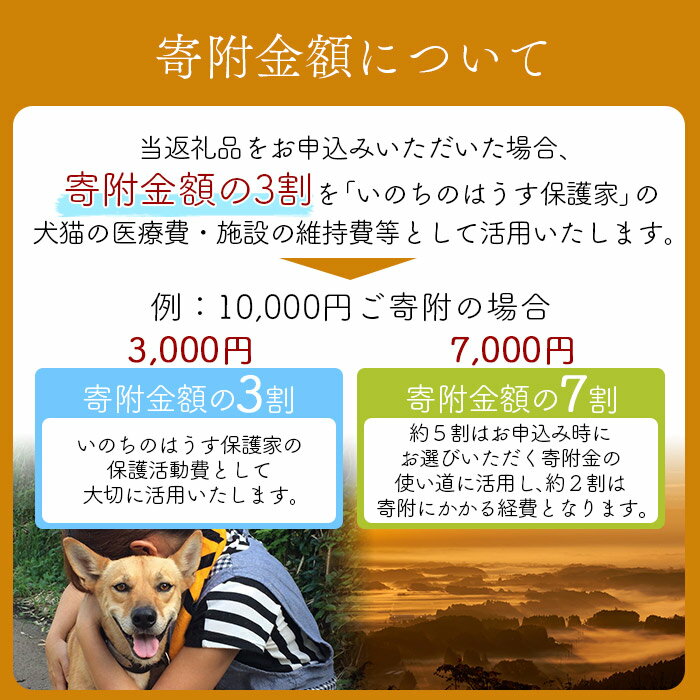 【ふるさと納税】＜保健所犬猫レスキュー【返礼品なしのご寄附】＞寄附金額10,000円※お礼状をお送りいたします。 返礼品なし 保護 動物愛護 いぬ ねこ イヌ ネコ どうぶつ 応援 支援 寄付 使い道 宮崎県 国富町 いのちのはうす保護家 a0622_in