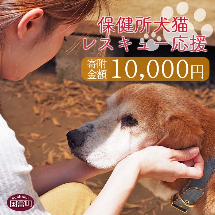 7位! 口コミ数「4件」評価「4.75」＜保健所犬猫レスキュー【返礼品なしのご寄附】＞寄附金額10,000円※お礼状をお送りいたします。 返礼品なし 保護 動物愛護 いぬ ねこ イ･･･ 