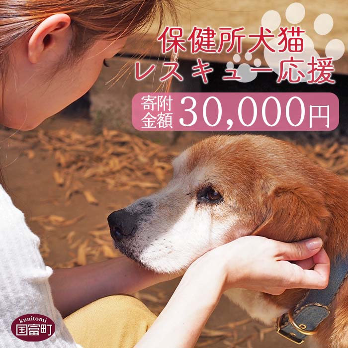 1位! 口コミ数「1件」評価「5」＜保健所犬猫レスキュー【返礼品なしのご寄附】＞寄附金額30,000円※お礼状をお送りいたします。 返礼品なし 保護 動物愛護 いぬ ねこ イ･･･ 