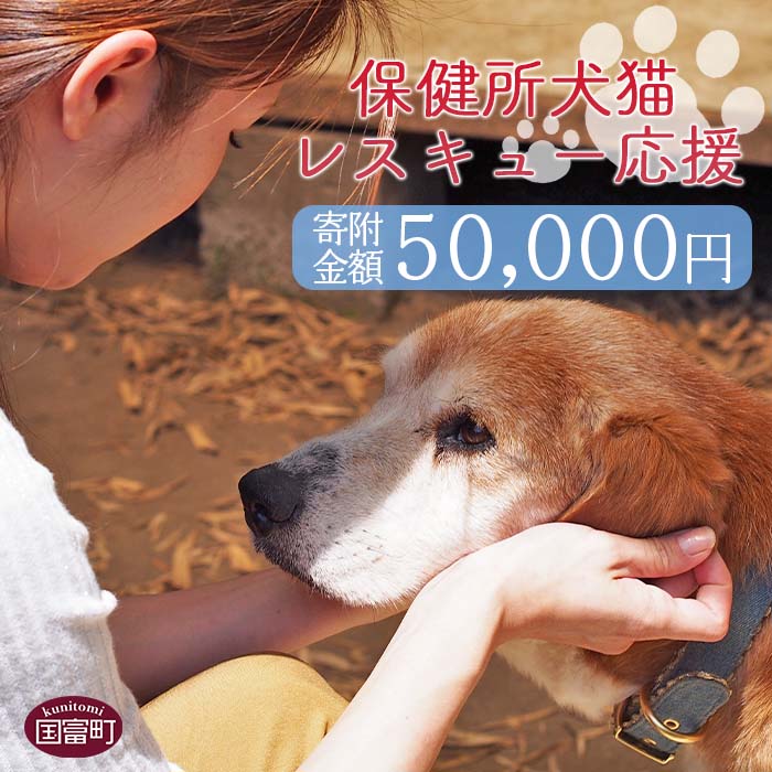 51位! 口コミ数「0件」評価「0」＜保健所犬猫レスキュー【返礼品なしのご寄附】＞寄附金額50,000円※お礼状をお送りいたします。 返礼品なし 保護 動物愛護 いぬ ねこ イ･･･ 