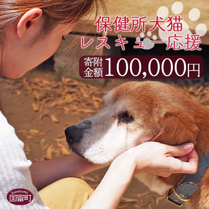 48位! 口コミ数「0件」評価「0」＜保健所犬猫レスキュー【返礼品なしのご寄附】＞寄附金額100,000円※お礼状をお送りいたします。 返礼品なし 保護 動物愛護 いぬ ねこ ･･･ 