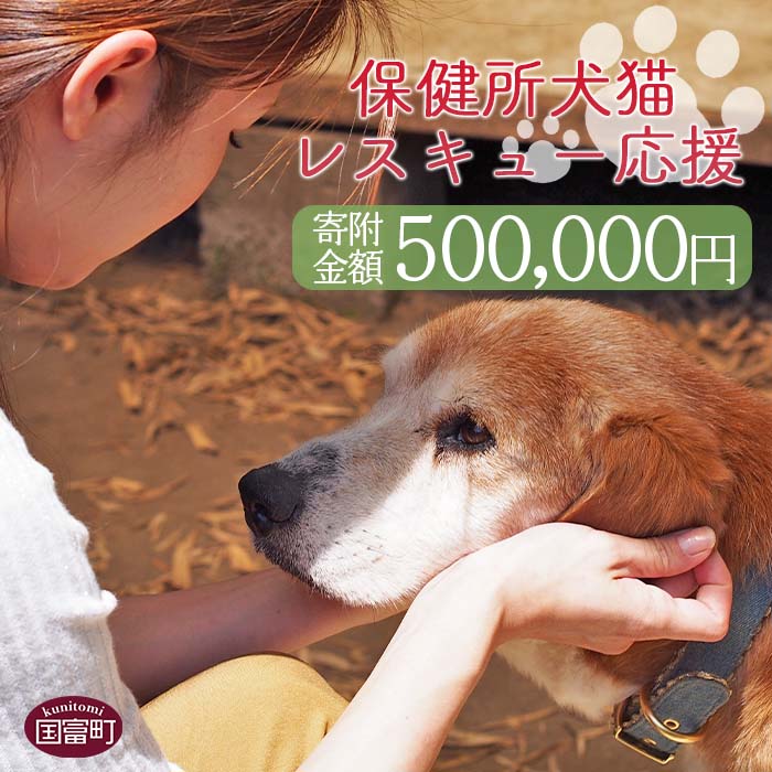 15位! 口コミ数「0件」評価「0」＜保健所犬猫レスキュー【返礼品なしのご寄附】＞寄附金額500,000円※お礼状をお送りいたします。 返礼品なし 保護 動物愛護 いぬ ねこ ･･･ 