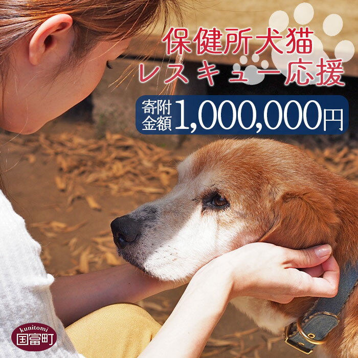 67位! 口コミ数「0件」評価「0」＜保健所犬猫レスキュー【返礼品なしのご寄附】＞寄附金額1,000,000円※お礼状をお送りいたします。 返礼品なし 保護 動物愛護 いぬ ね･･･ 