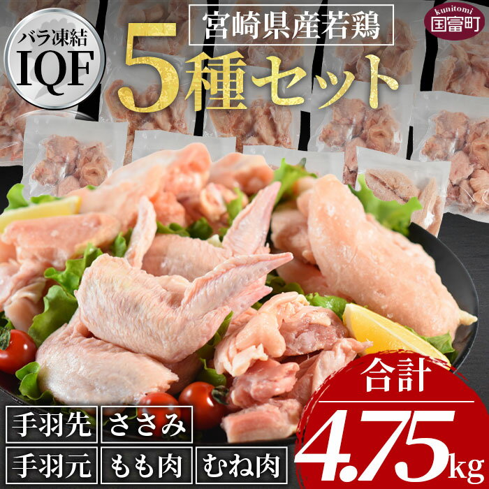 【ふるさと納税】★レビューキャンペーン対象返礼品★＜宮崎県産若鶏肉IQF 5種セット 4.75kg＞ ※入金確認後、翌月末迄に順次出荷します 国産 九州産 若鶏 鶏 とり肉 切り身 もも肉 むね肉 ささみ 手羽元 手羽先 小分け おかず からあげ 市場食鳥 宮崎県 国富町 【冷凍】のサムネイル