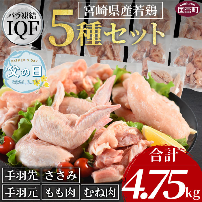 [父の日][宮崎県産若鶏肉IQF 5種セット 4.75kg] ※入金確認後、2024年6月14日から6月16日にお届け 国産 九州産 若鶏 とり肉 チキン 切り身 もも肉 むね肉 ささみ 手羽元 手羽先 小分け お料理 ギフト 贈り物 プレゼント 市場食鳥 宮崎県 国富町[冷凍]