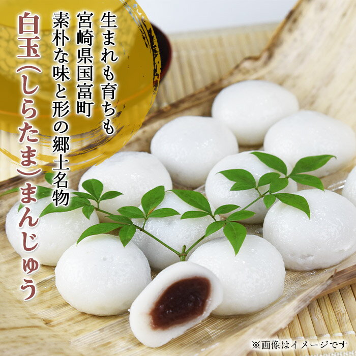 【ふるさと納税】和菓子 団子 餅 ＜白玉まんじゅう (6個入り×4パック) 国富町名物！＞※入金確認後、翌月末迄に順次出荷します。 米粉 宮崎県産ヒノヒカリ 手土産 自家製粉 和スイーツ お茶請け 井上白玉屋 宮崎県 国富町 0052_iu【冷凍】