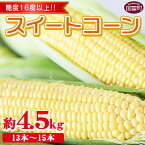 【ふるさと納税】期間限定！予約受付！ とうもろこし ＜宮崎県産 スイートコーン 約4.5kg＞※入金確認後、2024年5月下旬〜6月中旬迄に順次出荷 先行予約 穀物 野菜 甘い 季節限定 JA宮崎中央管内産 宮崎中央農業協同組合 宮崎県 国富町【冷蔵】