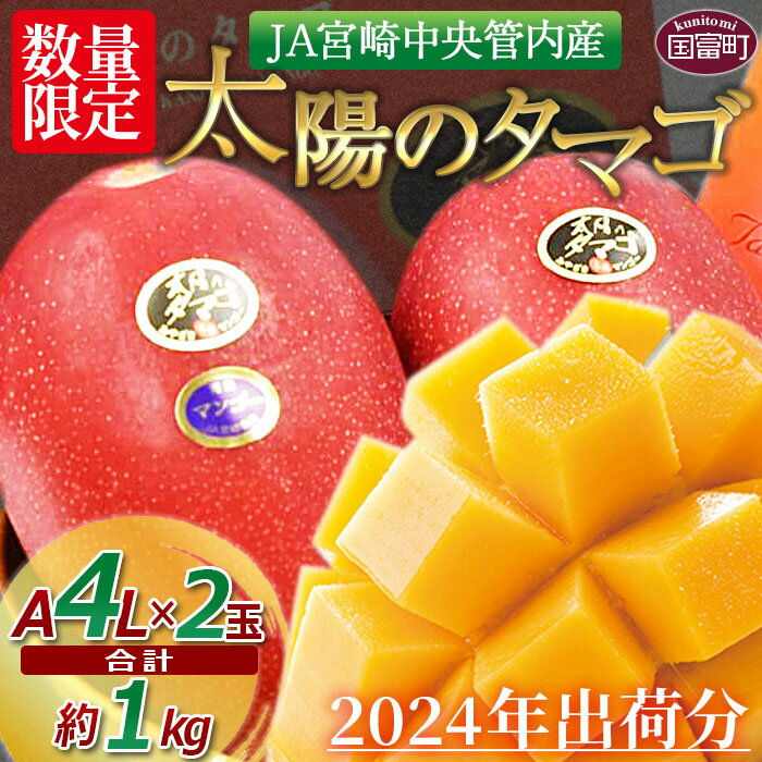 　予約受付！数量限定！＜宮崎県産 太陽のタマゴ A等級 4Lサイズ×2玉（合計約1kg）＞※入金確認後、2024年4月下旬～6月末迄に順次出荷 果物 フルーツ ギフト 贈答用 季節限定 先行予約 宮崎中央農業協同組合 宮崎県 国富町 0259_ja