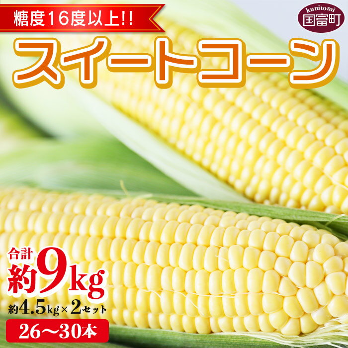 【ふるさと納税】 期間限定！予約受付！ とうもろこし ＜宮崎県産 スイートコーン 約9kg（約4.5kg×2箱）＞※入金確認後、2024年5月下旬〜6月中旬迄に順次出荷します。 先行予約 穀物 野菜 甘い 季節限定 JA宮崎中央管内産 宮崎中央農業協同組合 宮崎県 国富町【冷蔵】