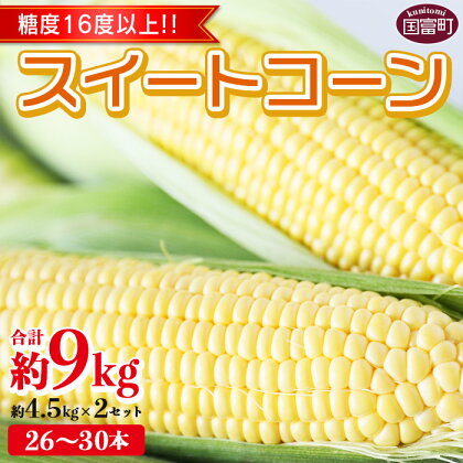 期間限定！予約受付！ とうもろこし ＜宮崎県産 スイートコーン 約9kg（約4.5kg×2箱）＞※入金確認後、2024年5月下旬〜6月中旬迄に順次出荷します。 先行予約 穀物 野菜 甘い 季節限定 JA宮崎中央管内産 宮崎中央農業協同組合 宮崎県 国富町【冷蔵】