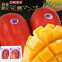 【ふるさと納税】数量限定【2026年発送】<宮崎県産 完熟マンゴー A等級 2Lサイズ×2玉(合計約700g)>※入金確認後、2026年4月上旬~6月末迄に順次出荷 果物 フルーツ ギフト 贈り物 贈答用 季節限定 JAみやざき 宮崎県 国富町【冷蔵】