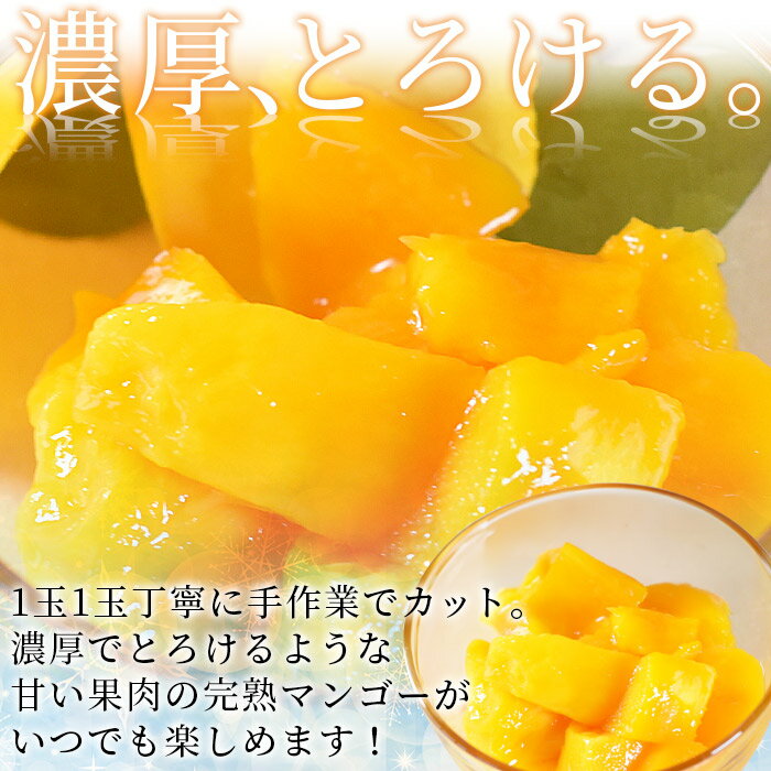 【ふるさと納税】＜宮崎県産 冷凍マンゴー 約270g＞※入金確認後、翌月末迄に順次出荷します JAみやざき宮崎中央本部管内産 果物 果実 フルーツ 完熟マンゴー トロピカル 南国 カット JAみやざき 宮崎県 国富町 b0692_ja【冷凍】