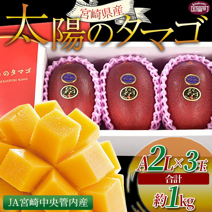 【ふるさと納税】数量限定！【2024年発送】＜宮崎県産 太陽のタマゴ A等級 2Lサイズ×3玉（合計約1kg）...