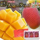【ふるさと納税】数量限定【2026年発送】<宮崎県産 太陽のタマゴ A等級 2Lサイズ×3玉(合計約1kg)>※入金確認後、2026年4月上旬〜6月末迄に順次出...