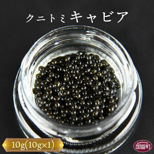 【ふるさと納税】＜クニトミキャビア 10g(10g×1)＞※入金確認後、翌月末迄に順次出荷します。フレッシュキャビア フレンチ チョウザメ 低塩分 記念日 お祝い 国産 グルメ 食品 おつまみ 珍味 ラポール・ド・クニトミ 宮崎キャビア株式会社 宮崎県 国富町 0193_mc 【冷凍】