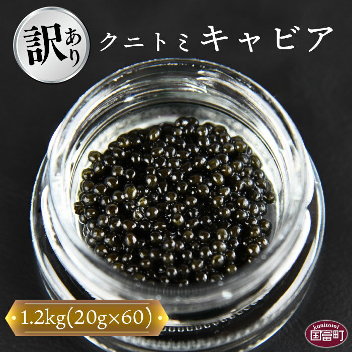 【ふるさと納税】【訳あり】＜クニトミキャビア 1.2kgセット(20g×60)＞※入金確認後、翌月末迄に順次出荷します。 訳アリ 簡易包装 チョウザメ 低塩分 国産 おつまみ 珍味 ラポール・ド・クニトミ 宮崎キャビア株式会社 宮崎県 国富町 0200_mc【冷凍】