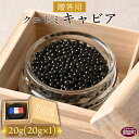 【ふるさと納税】<【贈答用】クニトミキャビア20g(20g×1)>※入金確認後、翌月末迄に順次出荷します フレッシュキャビア フレンチ チョウザメ 低塩分 記念...