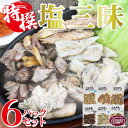 【ふるさと納税】<特撰 炭火焼塩三昧 6パックセット>※入金...