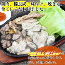 宮崎県国富町の画像2