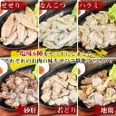宮崎県国富町の画像3
