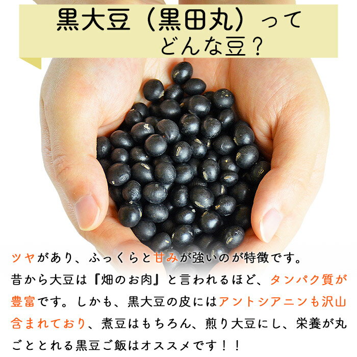 【ふるさと納税】＜黒大豆（黒田丸）180g×5袋 合計900g＞※入金確認後、翌月末迄に順次出荷します。 豆 だいず クロダマル まめ 三輪農園 宮崎県 国富町 0236_mw【常温】