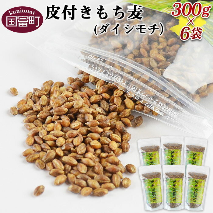 【ふるさと納税】＜皮付きもち麦(ダイシモチ）300g×6袋＞※入金確認後、翌月末迄に順次出荷します。 むぎ ムギ 穀物 食物繊維 三輪農園 宮崎県 国富町 0241_mw【常温】