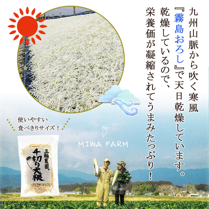 【ふるさと納税】＜宮崎県 千切り大根（切り干し大根）40g×1袋＞※入金確認後、翌月末迄に順次出荷します。 切干大根 大根 野菜 干し野菜 三輪農園 宮崎県 国富町 a0675_mw_x1【常温】