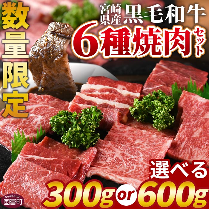 数量限定 [宮崎県産黒毛和牛(経産)6種焼肉セット] 国産 黒毛和牛 牛肉 牛 精肉 焼き肉 焼肉 サーロイン リブロース 肩ロース ウデ モモ バラ 贈答品 ギフト 贈り物 グルメ ミヤチク 宮崎県 国富町[冷凍]※入金確認後、翌月末までに順次出荷