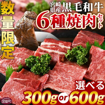 数量限定 ＜宮崎県産黒毛和牛(経産)6種焼肉セット＞ 国産 黒毛和牛 牛肉 牛 精肉 焼き肉 焼肉 サーロイン リブロース 肩ロース ウデ モモ バラ 贈答品 ギフト 贈り物 グルメ ミヤチク 宮崎県 国富町【冷凍】※入金確認後、翌月末までに順次出荷