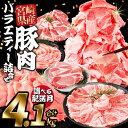 【ふるさと納税】【9/30まで!】【期間限定】<豚肉バラエティー詰合せセット 4.1kg>※ご希望の出荷時期をお選びください 選べる配送月 レビューキャンペーン...
