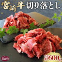 yӂ邳Ɣ[Łz{苍؂藎 v600g (300g~2pbN)mFA2ȓɏoׂ܂B  a јa  SHINGAKI xX {茧 x 0505_shyⓀz